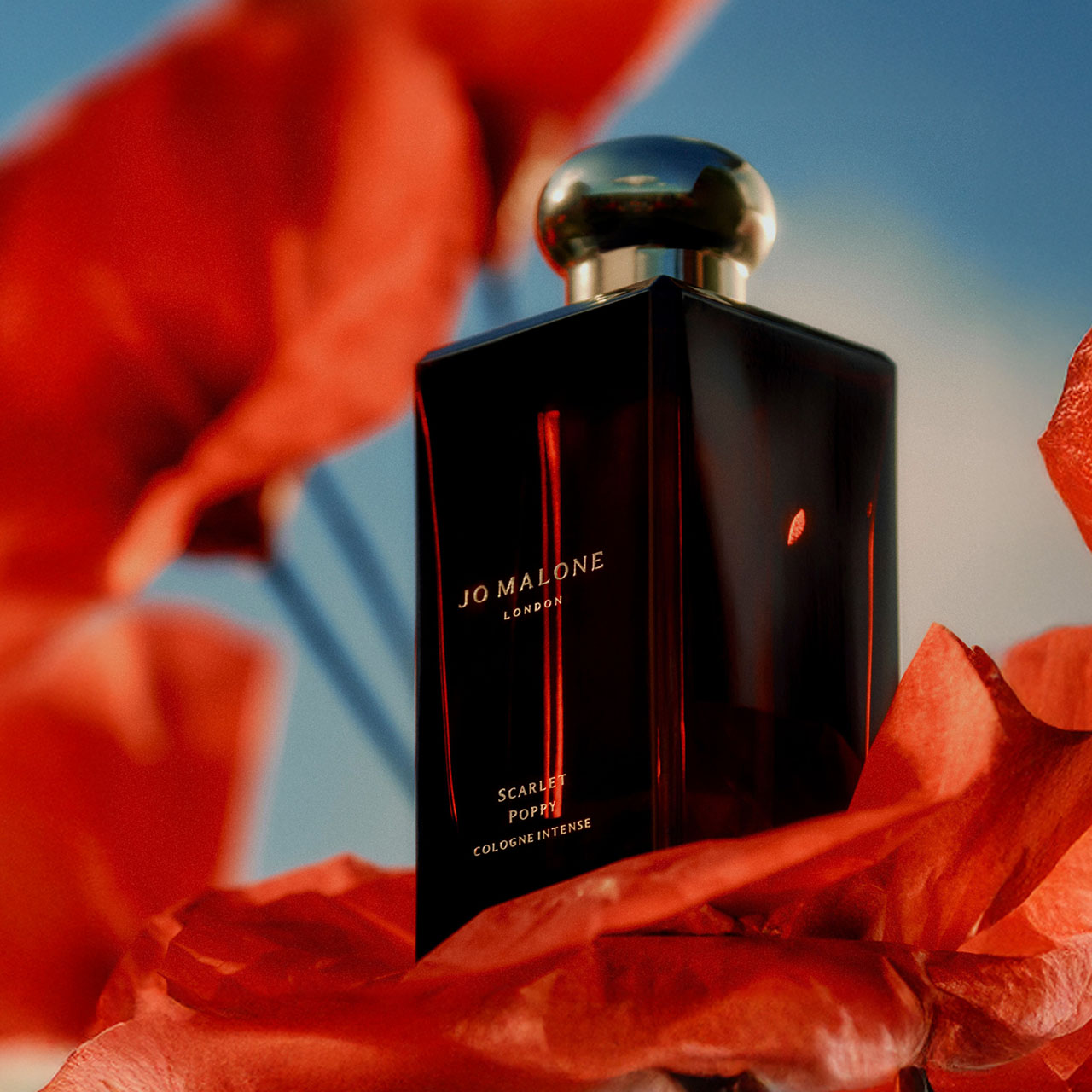 Perfume bottle with a gold cap labeled 'Jo Malone London, Scarlet Poppy' surrounded by vibrant red petals.